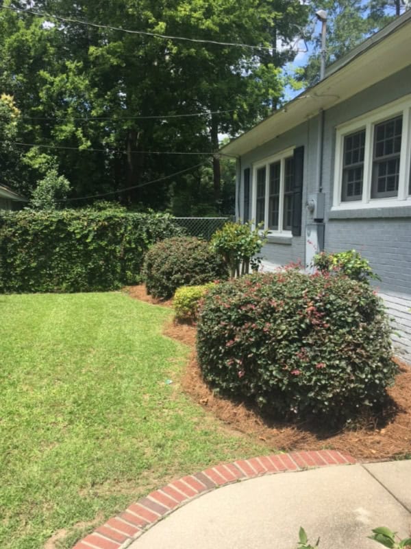 Shrub Trimming